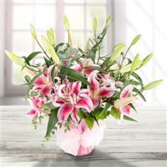 Pink Lilies