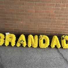 Grandad frame masked in yellow flowers 