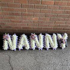 Nanny frame 